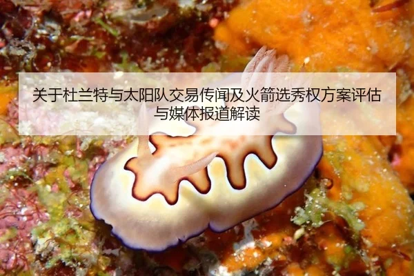 关于杜兰特与太阳队交易传闻及火箭选秀权方案评估与媒体报道解读